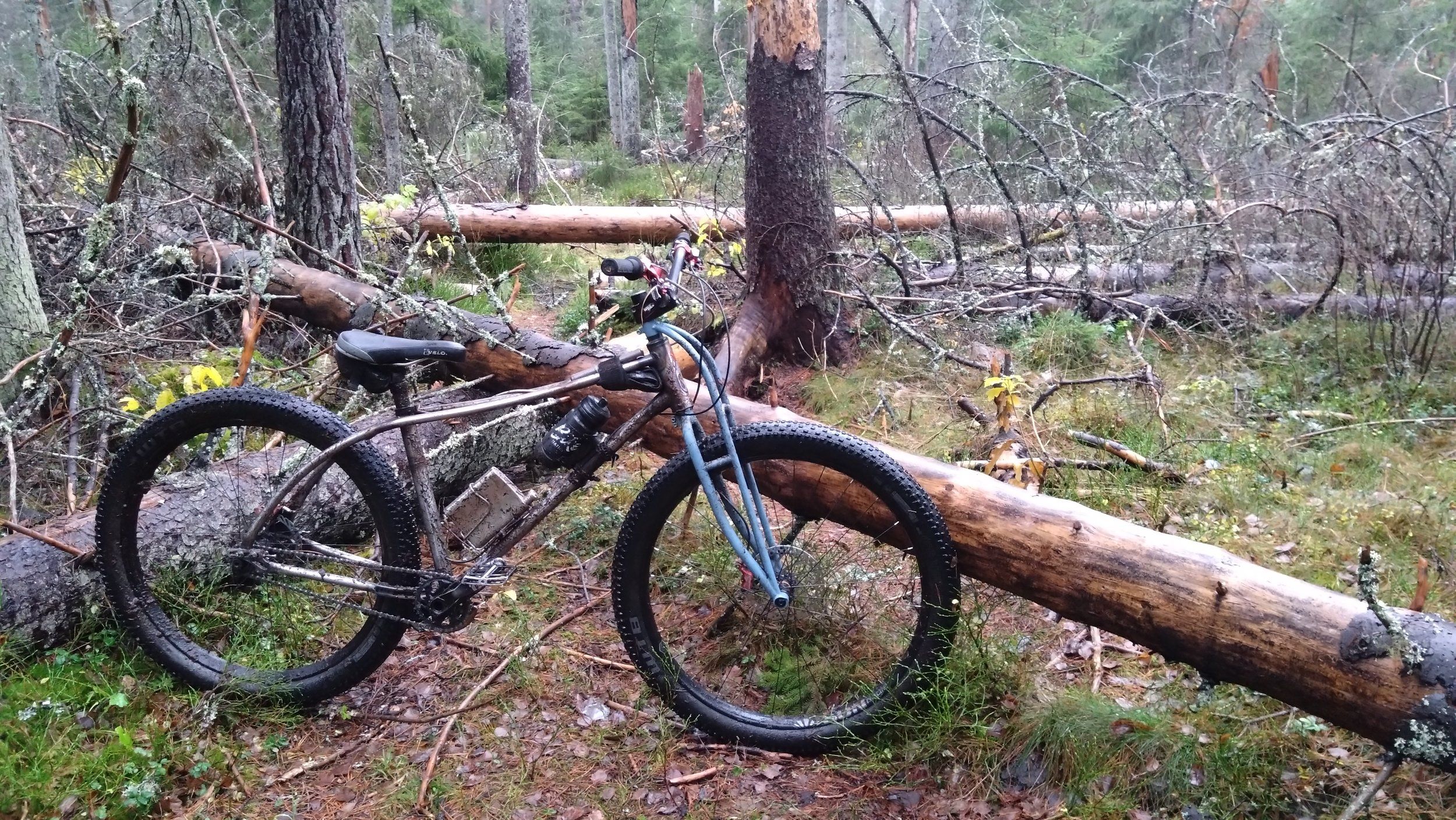 DSC_3240.JPG