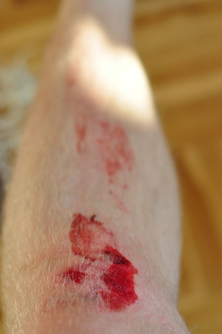 DSC_3434.JPG