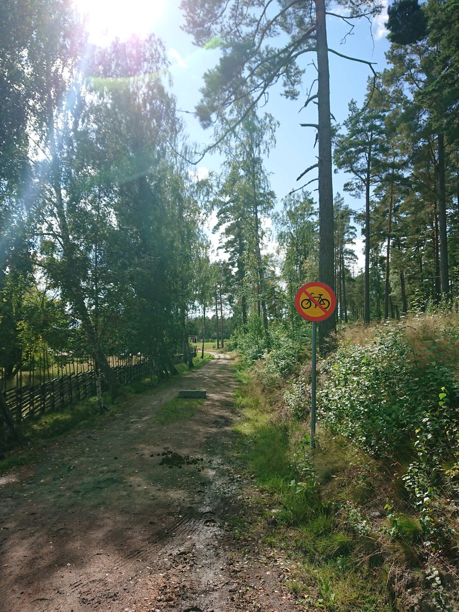 DSC_3570.JPG