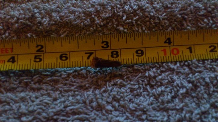 DSC_3593.JPG