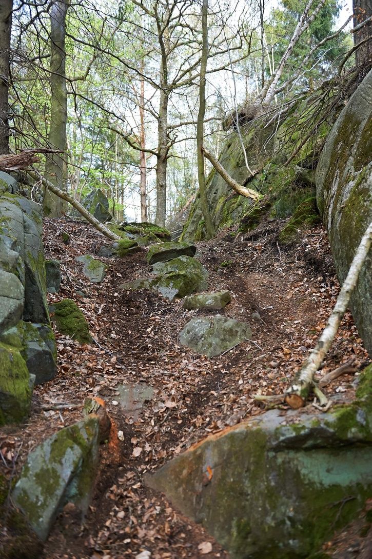 DSC_3679.jpg