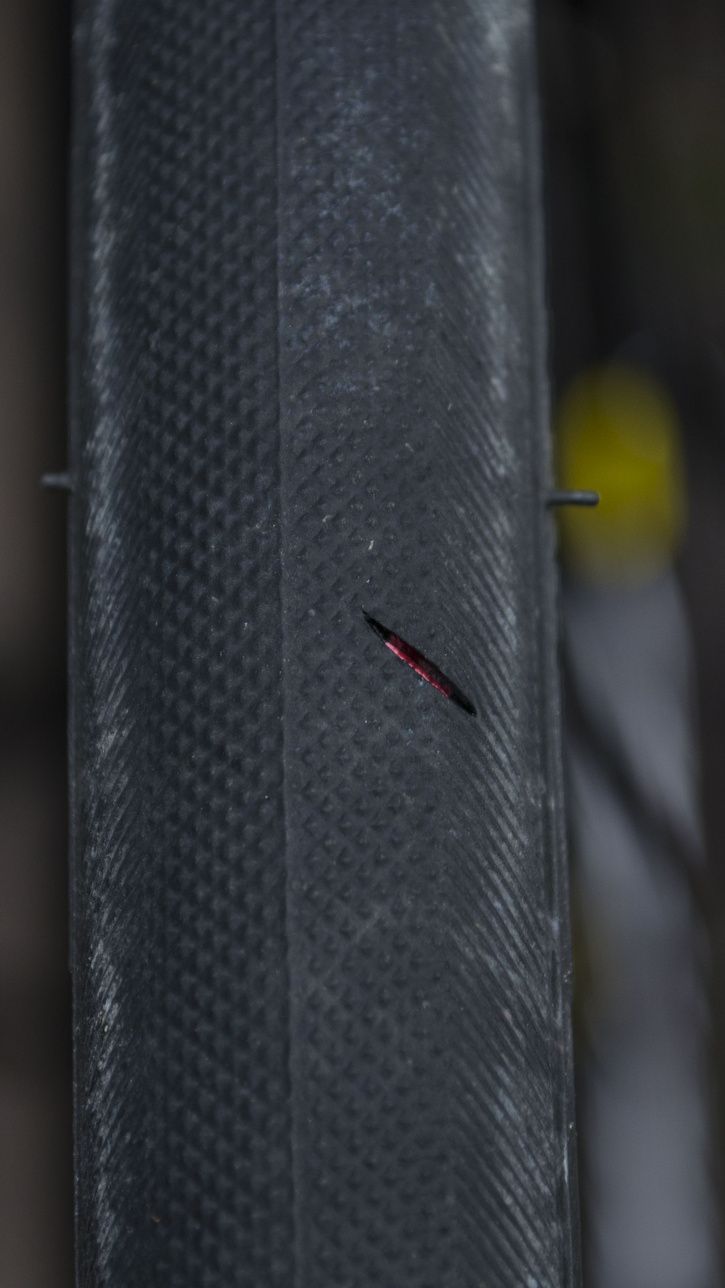 DSC_3920.jpg