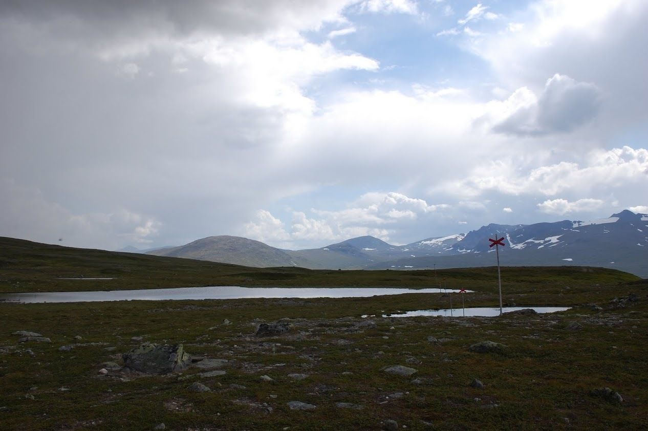 DSC_4332.jpg
