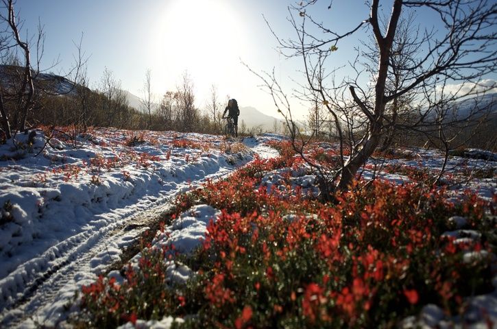 DSC_4692.jpg