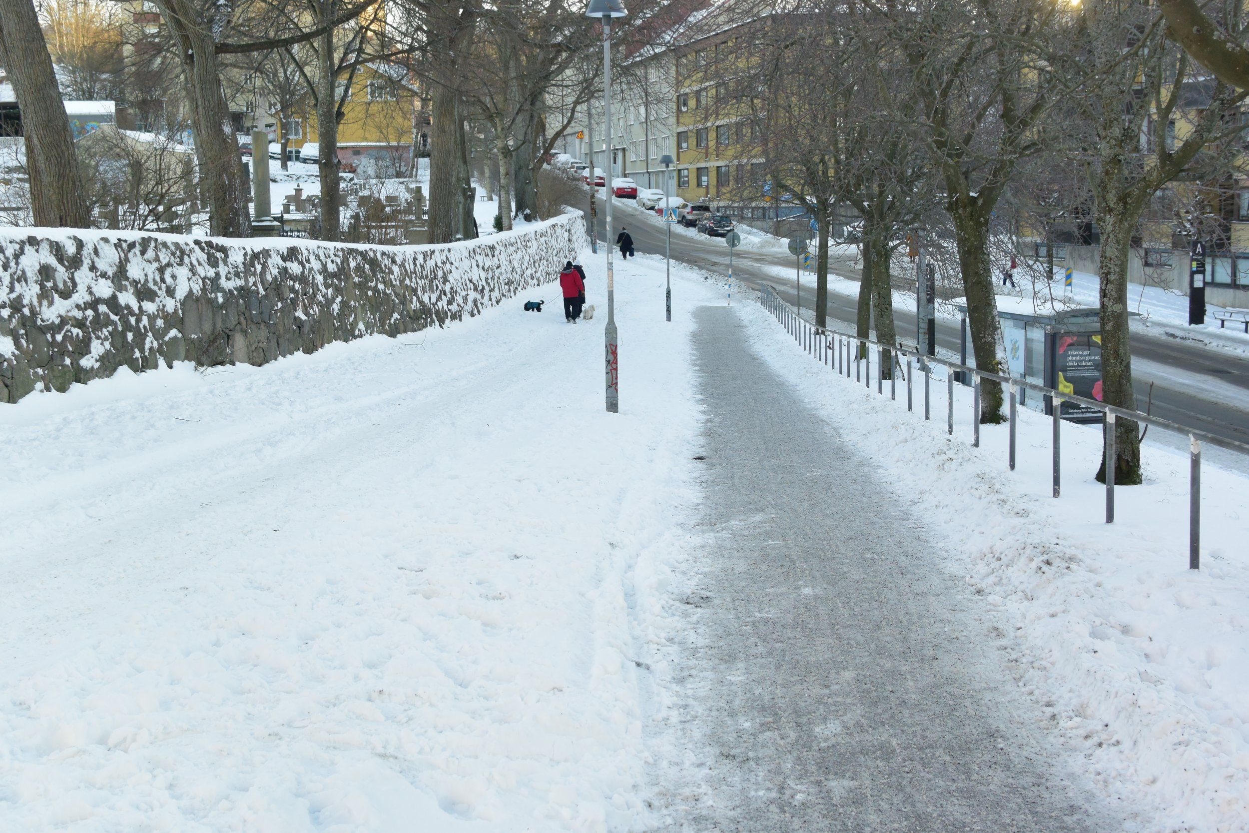 DSC_4833.jpg