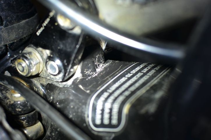 DSC_4836.jpg