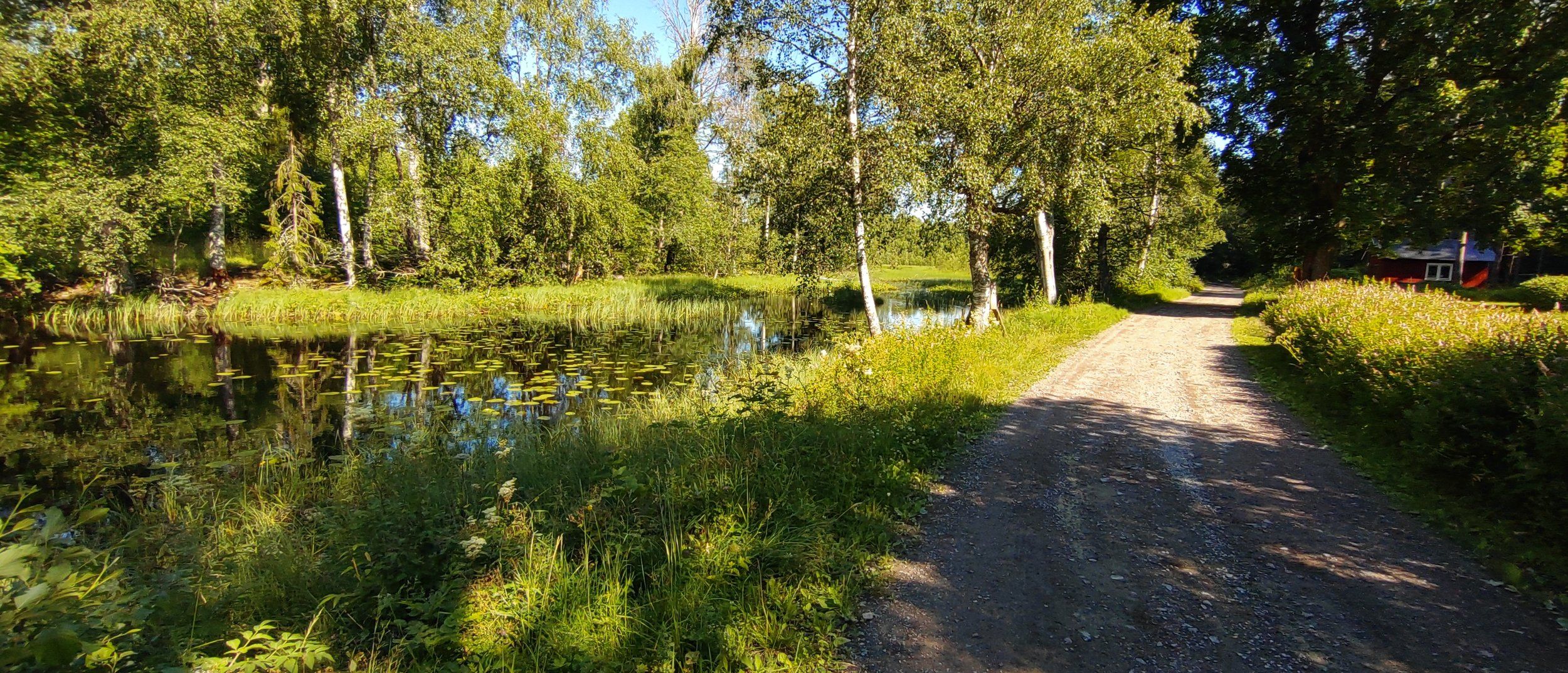 DSC_4859.JPG