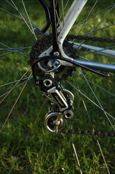DSC_5027small.jpg ht=725