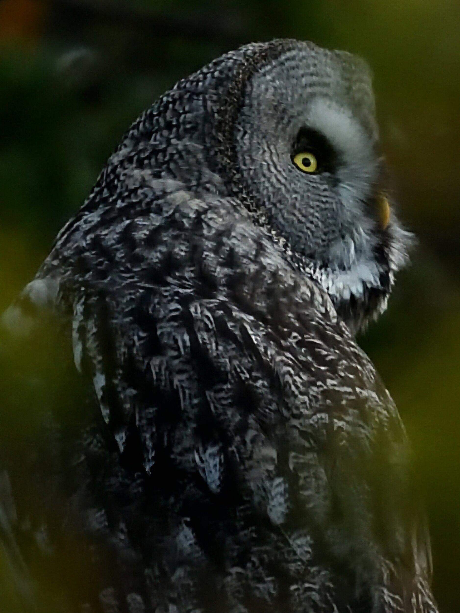 DSC_5087.JPG