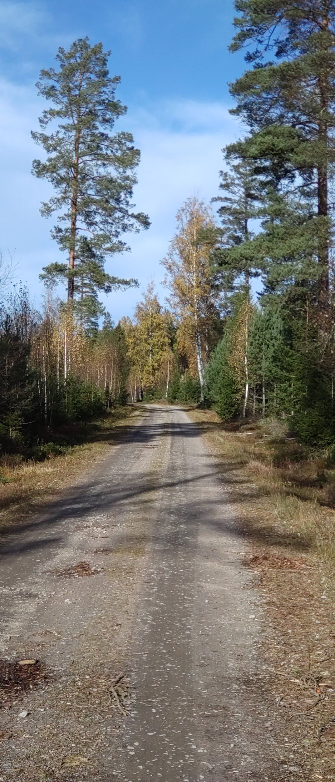 DSC_5132.JPG