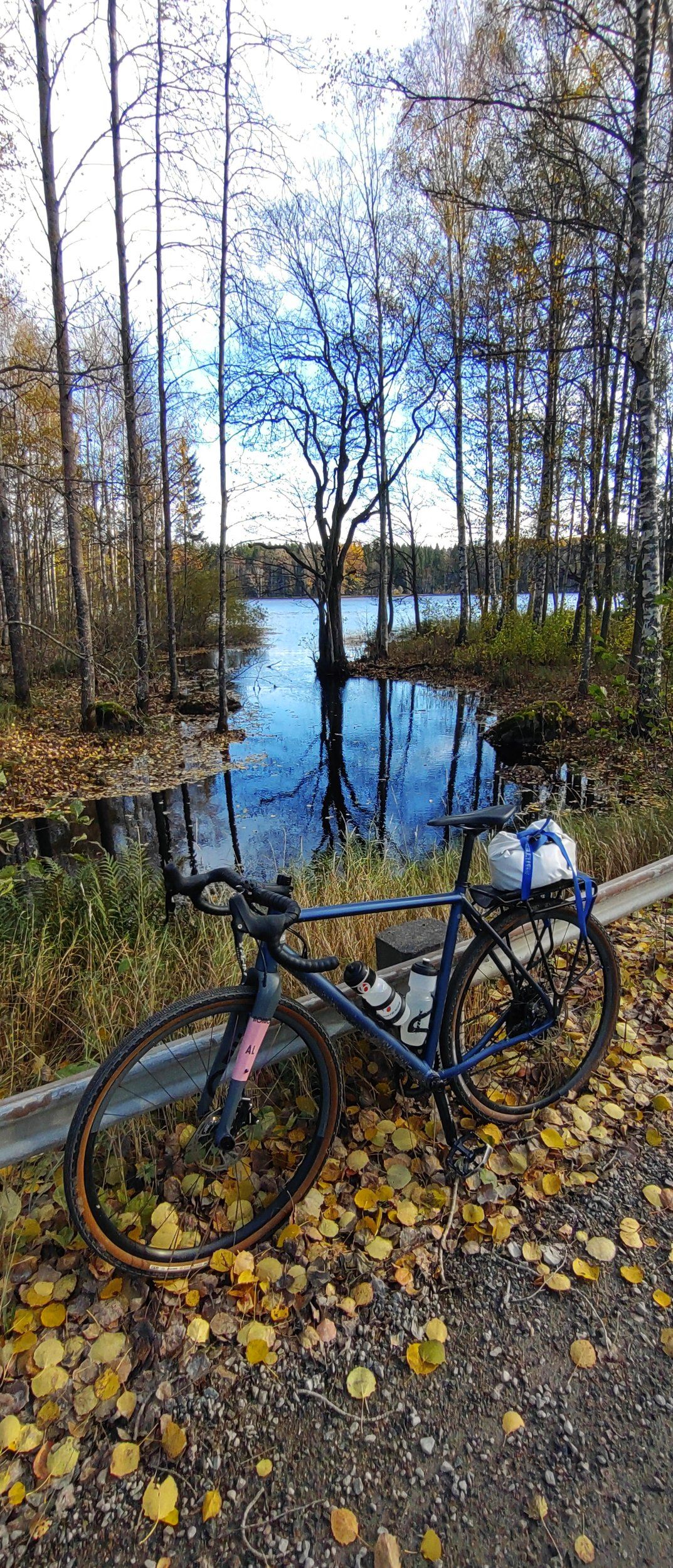 DSC_5138.JPG