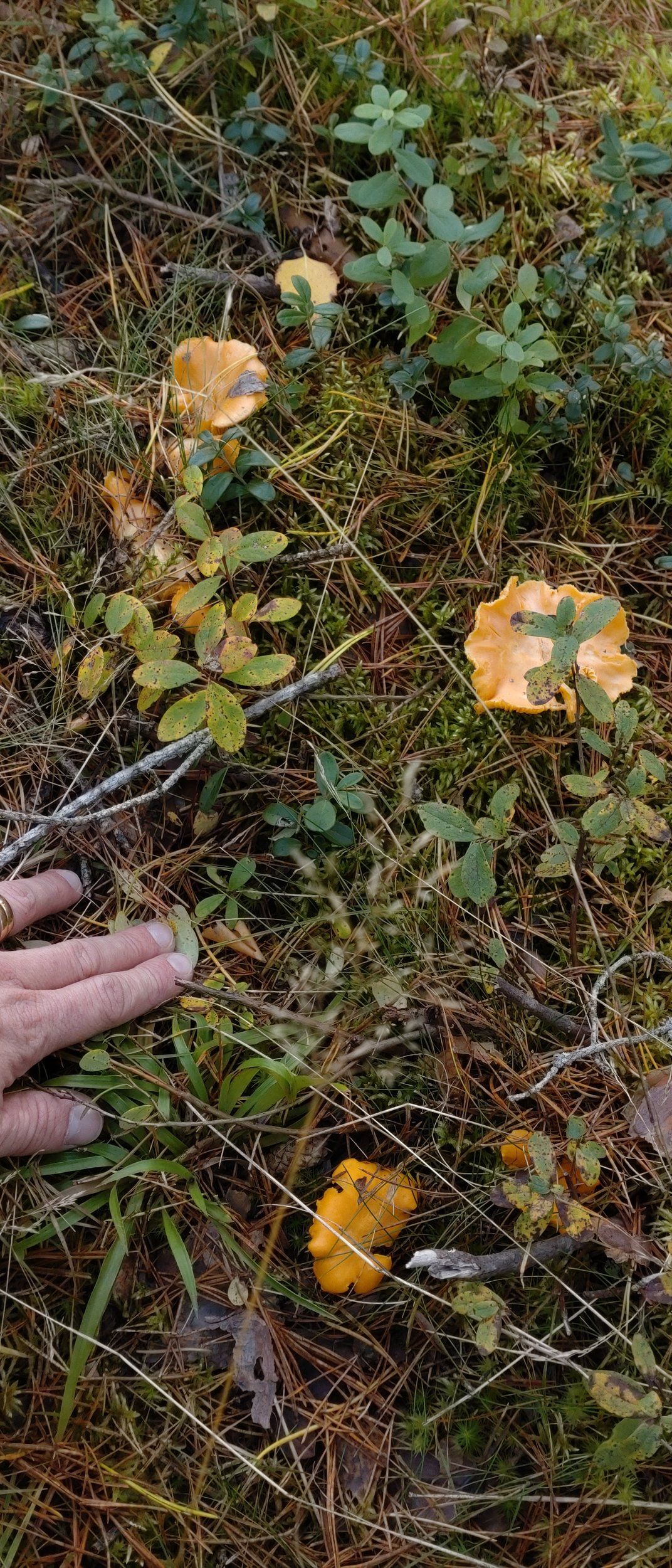 DSC_5149.JPG