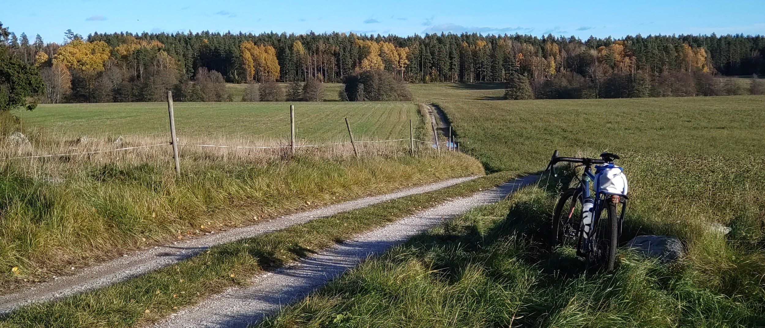 DSC_5152.JPG