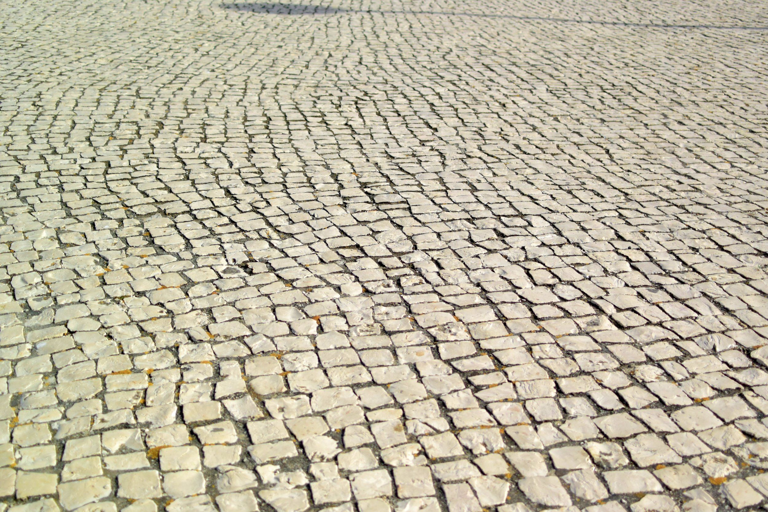 DSC_5325.jpg