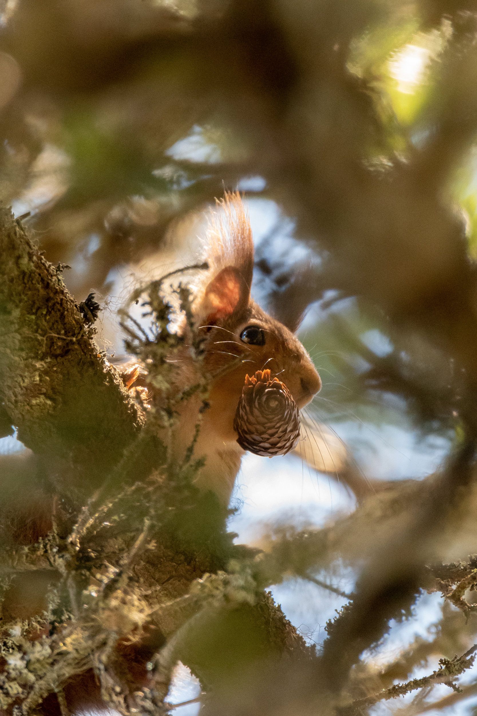 DSC_5544.jpg