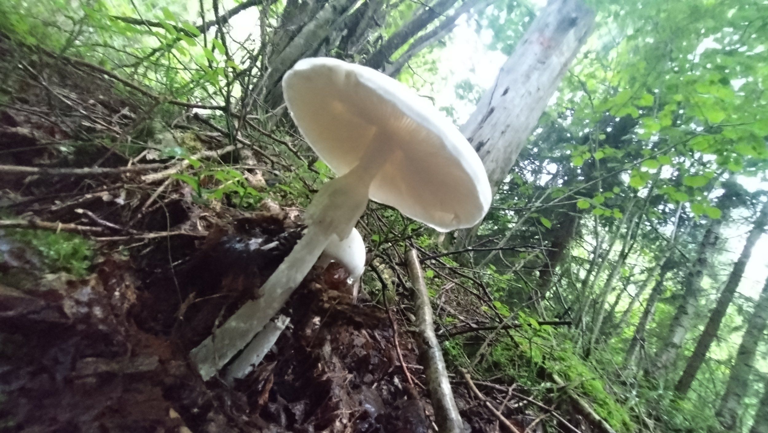 DSC_5552.JPG