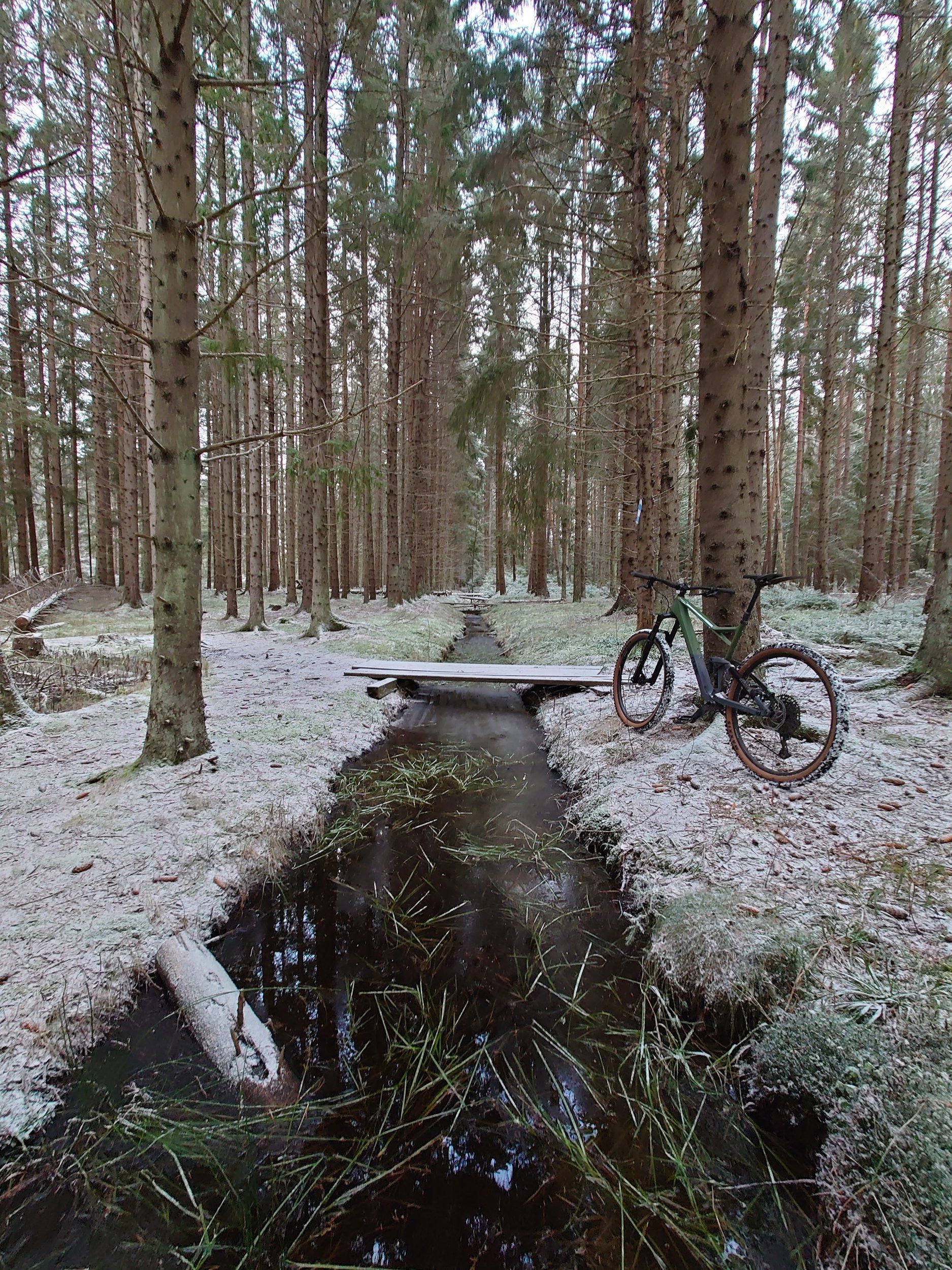 DSC_5999.JPG