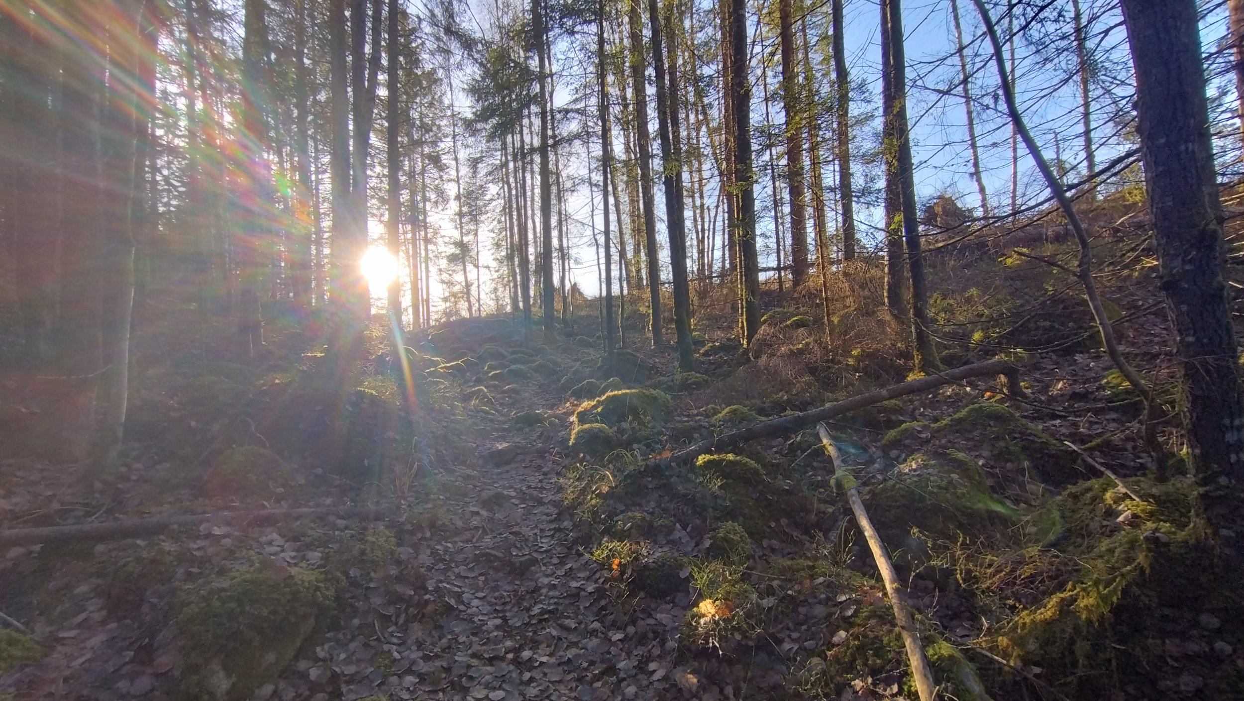 DSC_6058.JPG