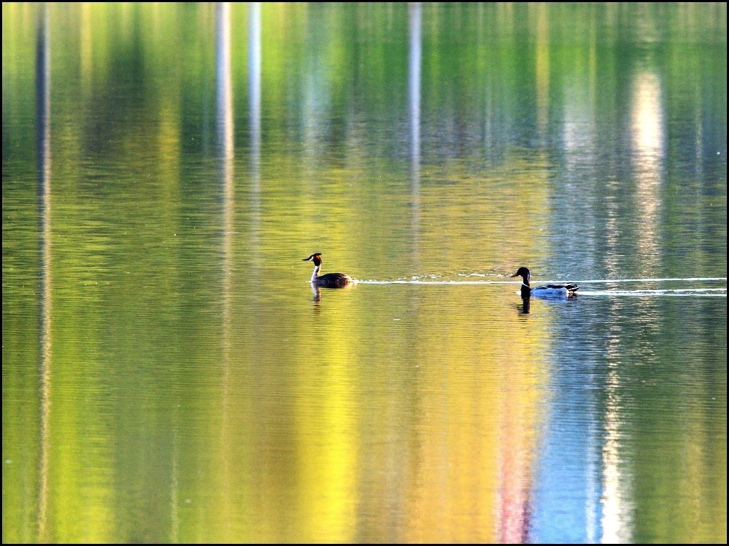 DSC_6273.JPG