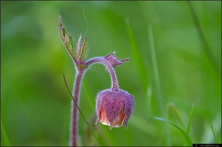 DSC_6570.JPG
