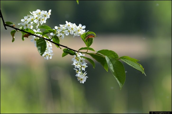 DSC_6587.JPG