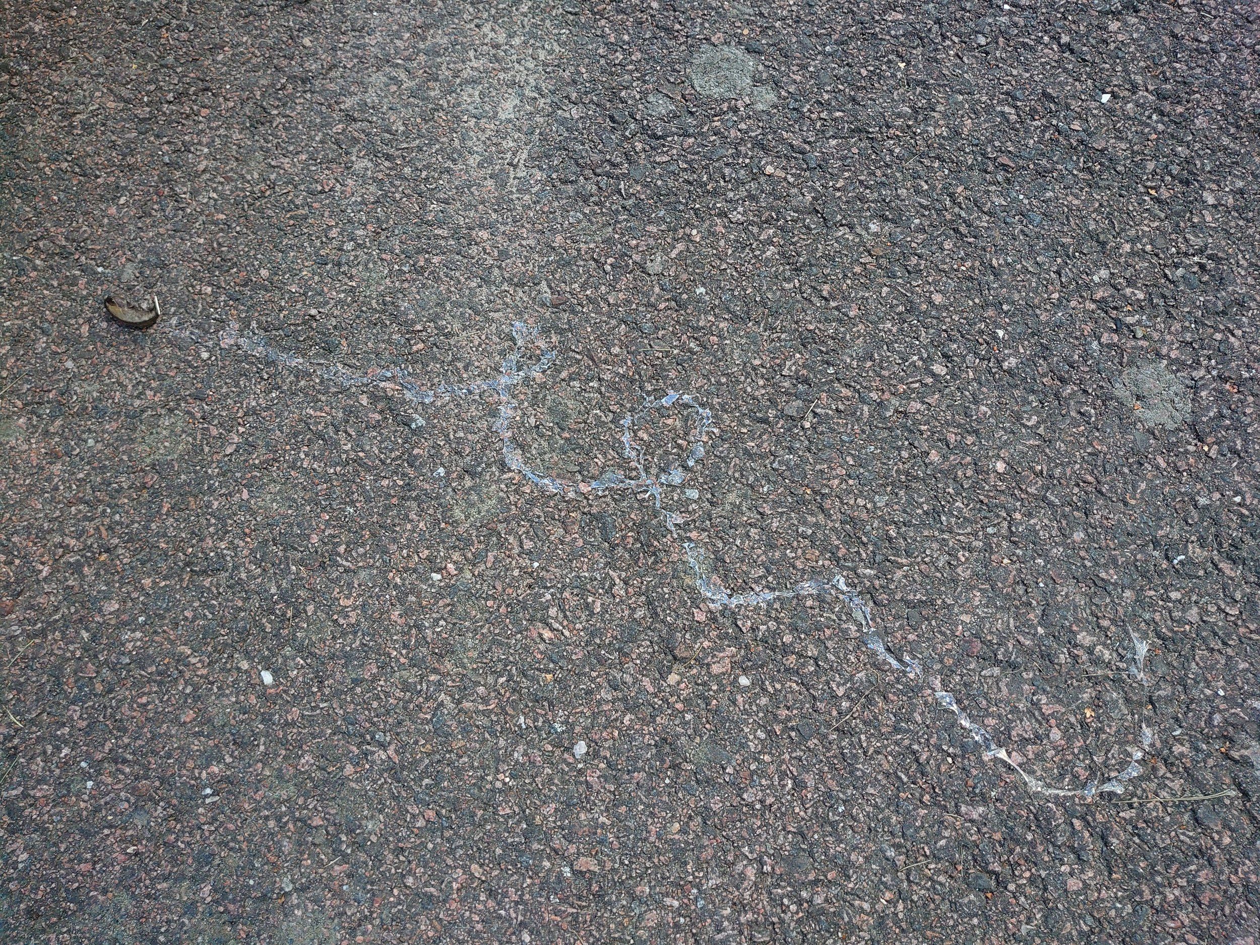 DSC_6801.JPG