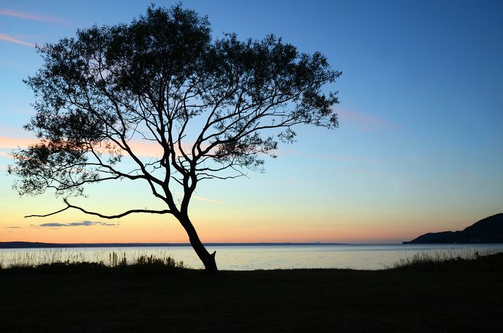 DSC_6940.jpg
