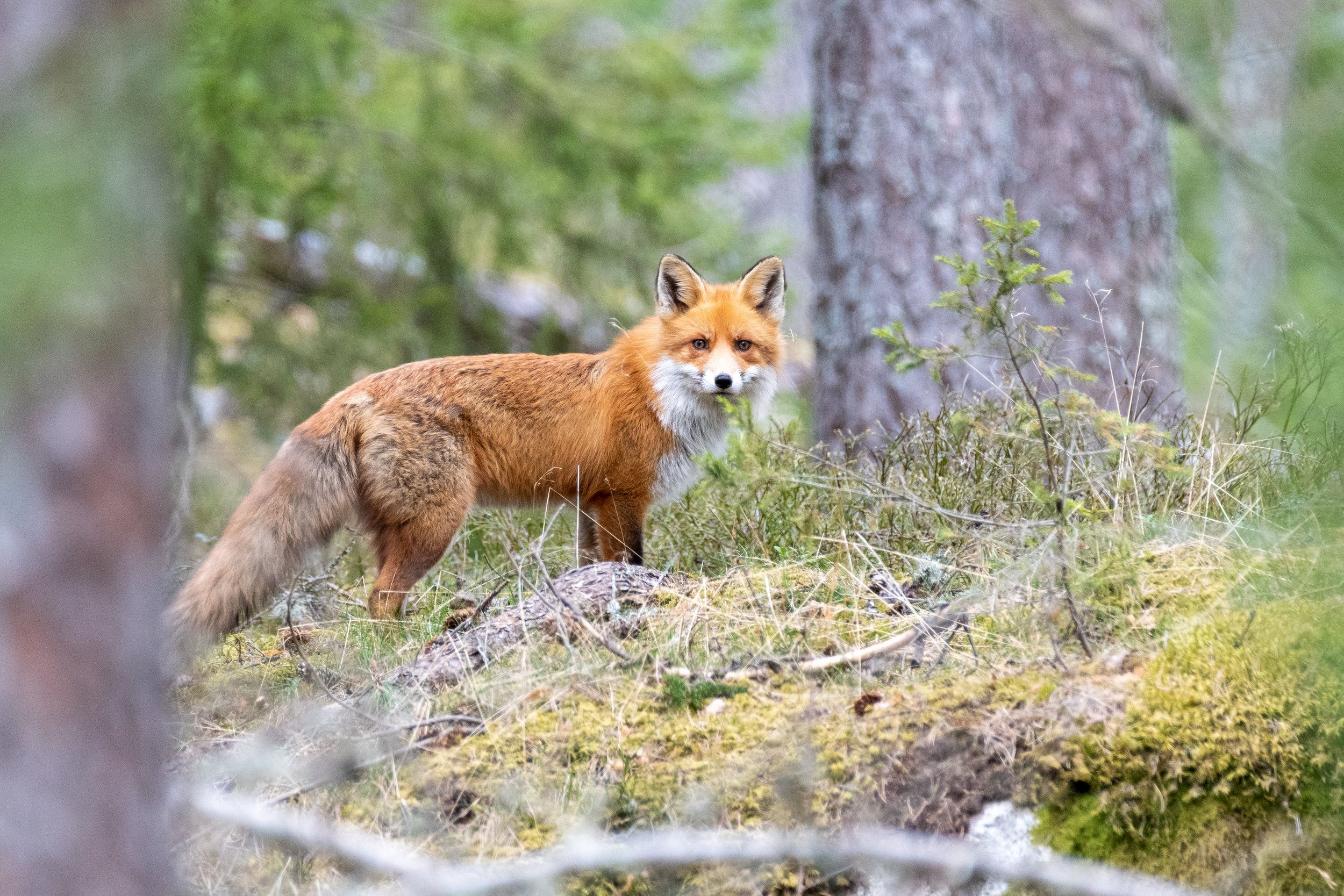 DSC_7147.jpg