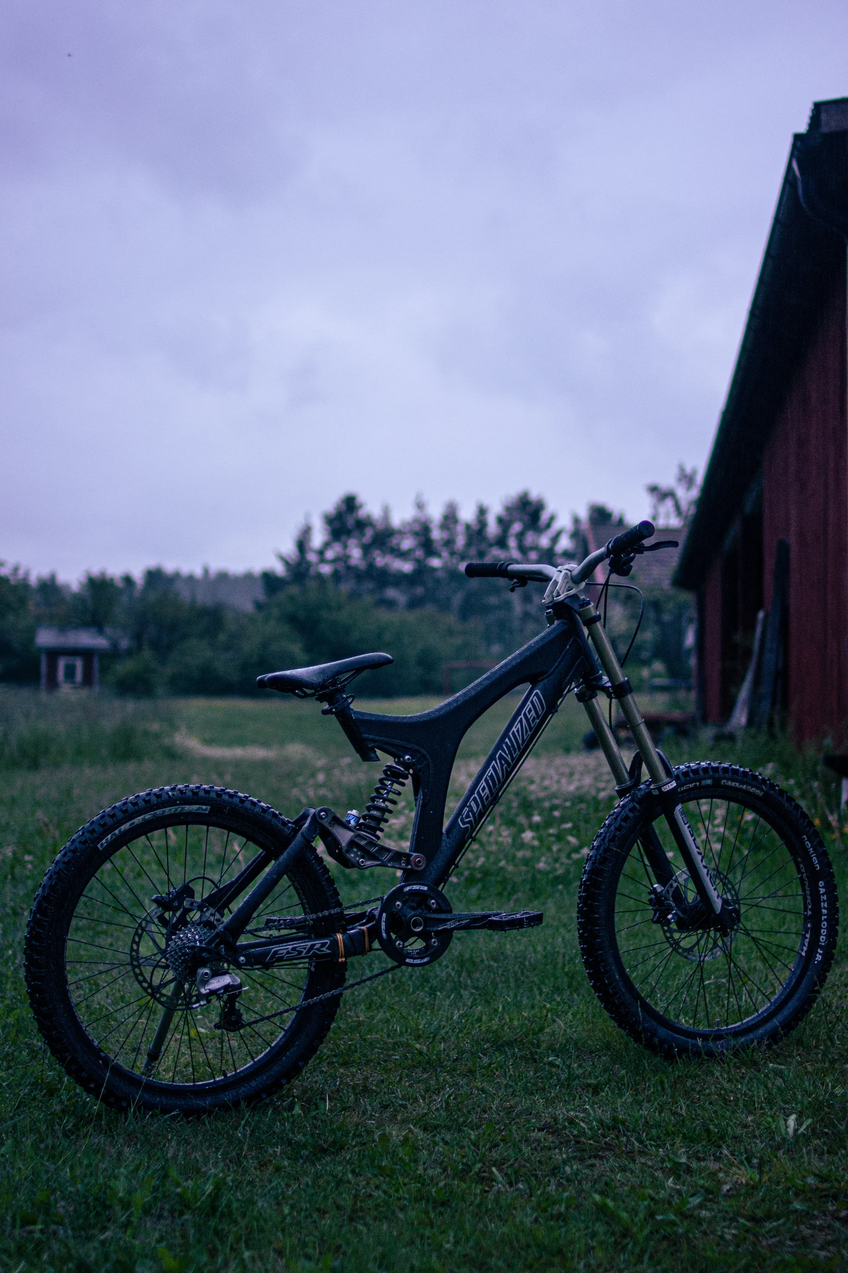 DSC_7845-1-2.webp