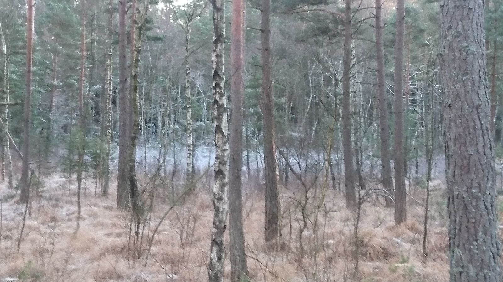 DSC_7988.jpg