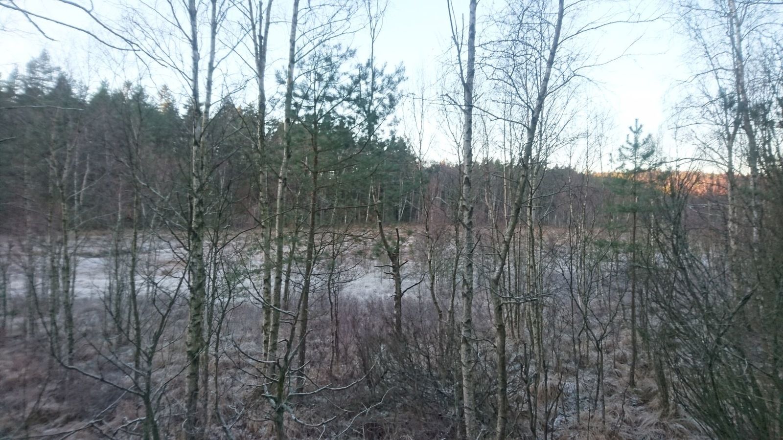 DSC_8001.jpg