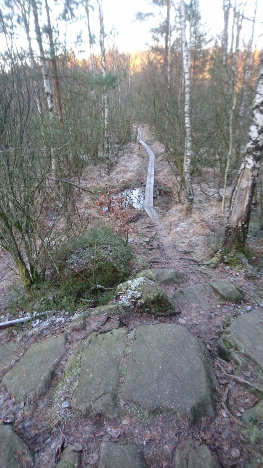 DSC_8002.jpg