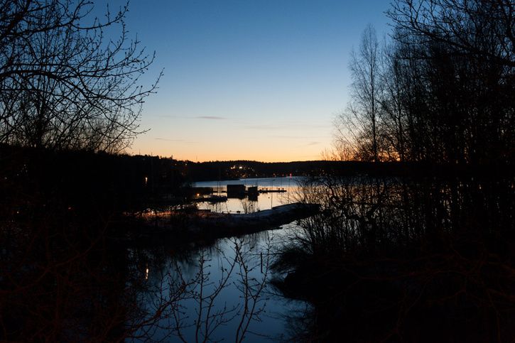 DSC_8200.jpg
