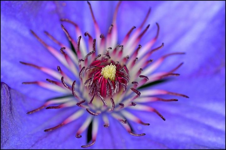 DSC_8740.jpg