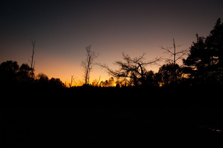DSC_8777.jpg