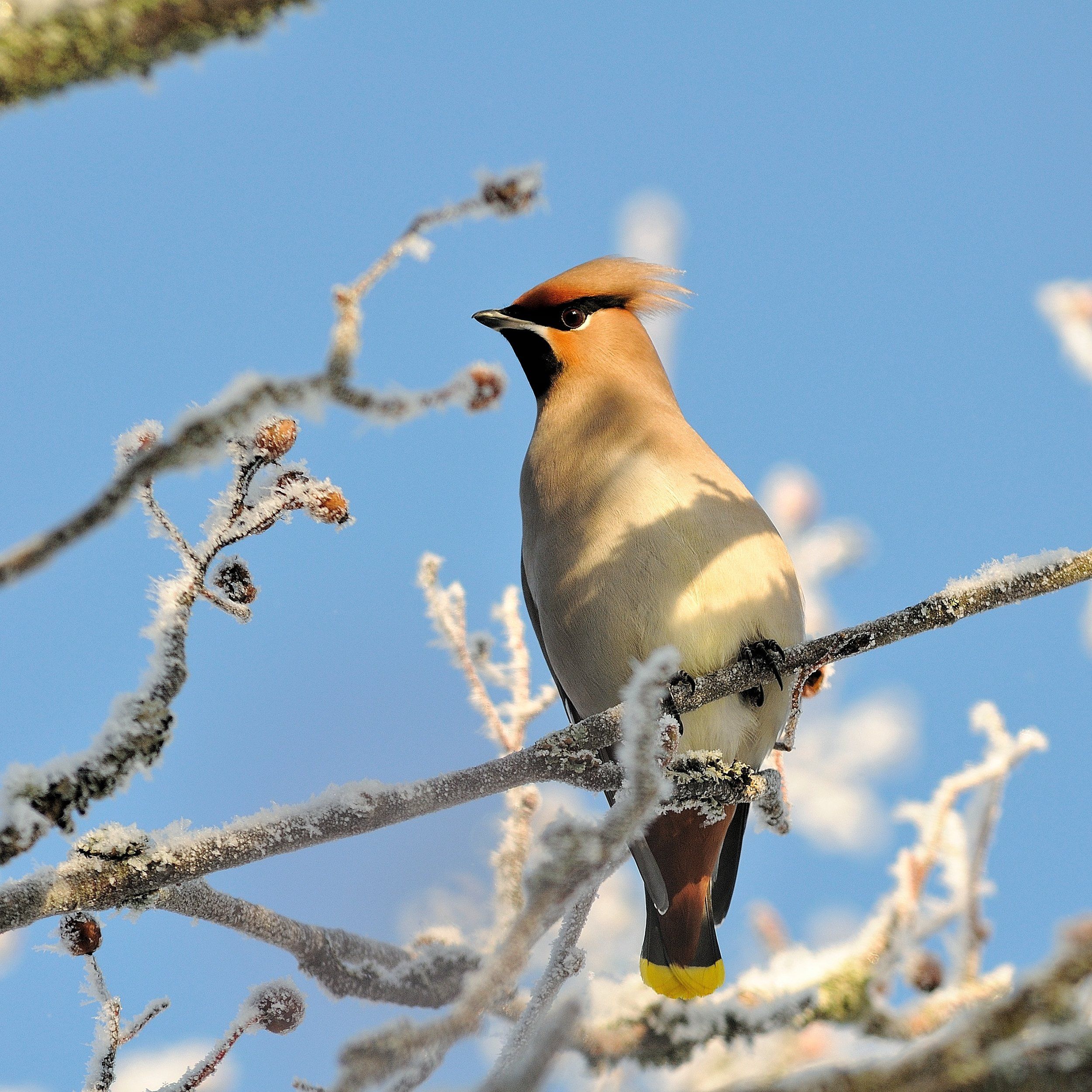 DSC_8807-01.jpeg