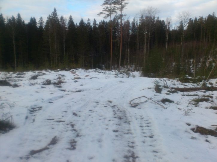 DSC_9957.jpg