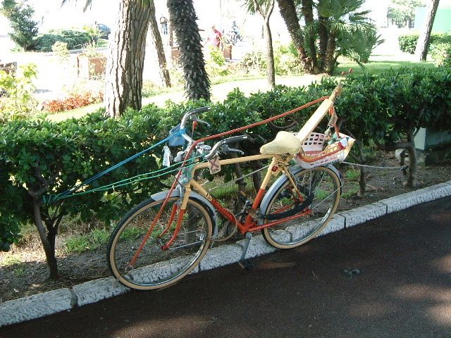 DSCF0013.JPG ht=480