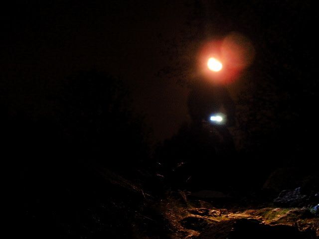 DSCF0025.JPG ht=480