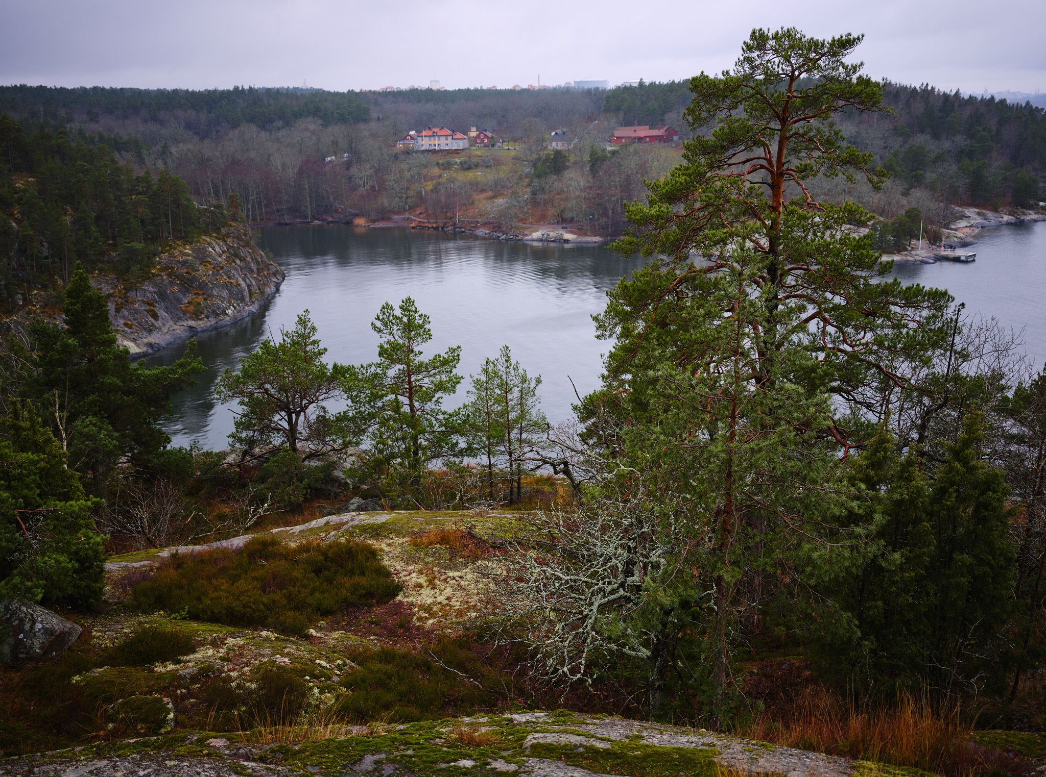 DSCF0508_fb.jpg