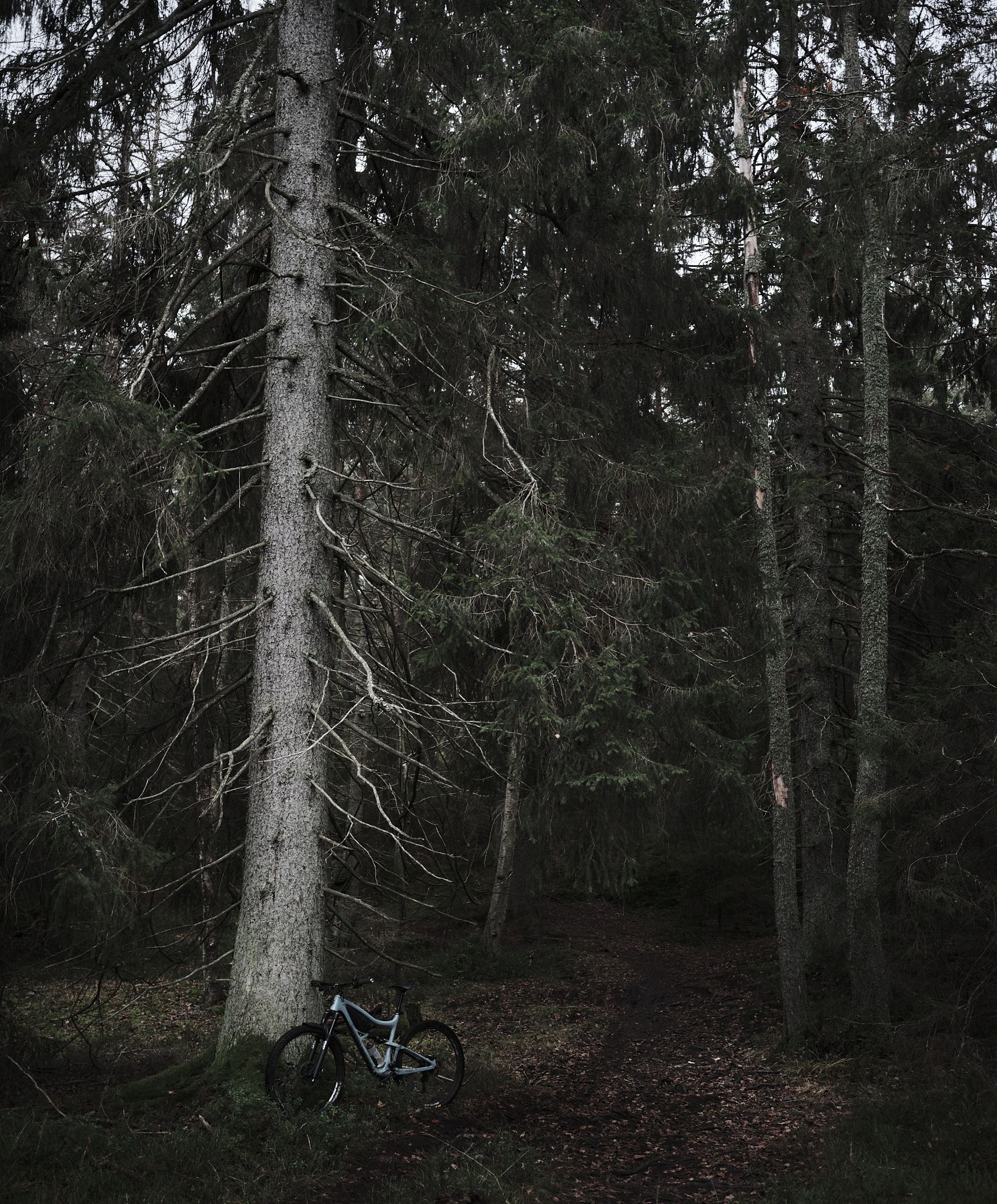 DSCF0747_fb2.jpg