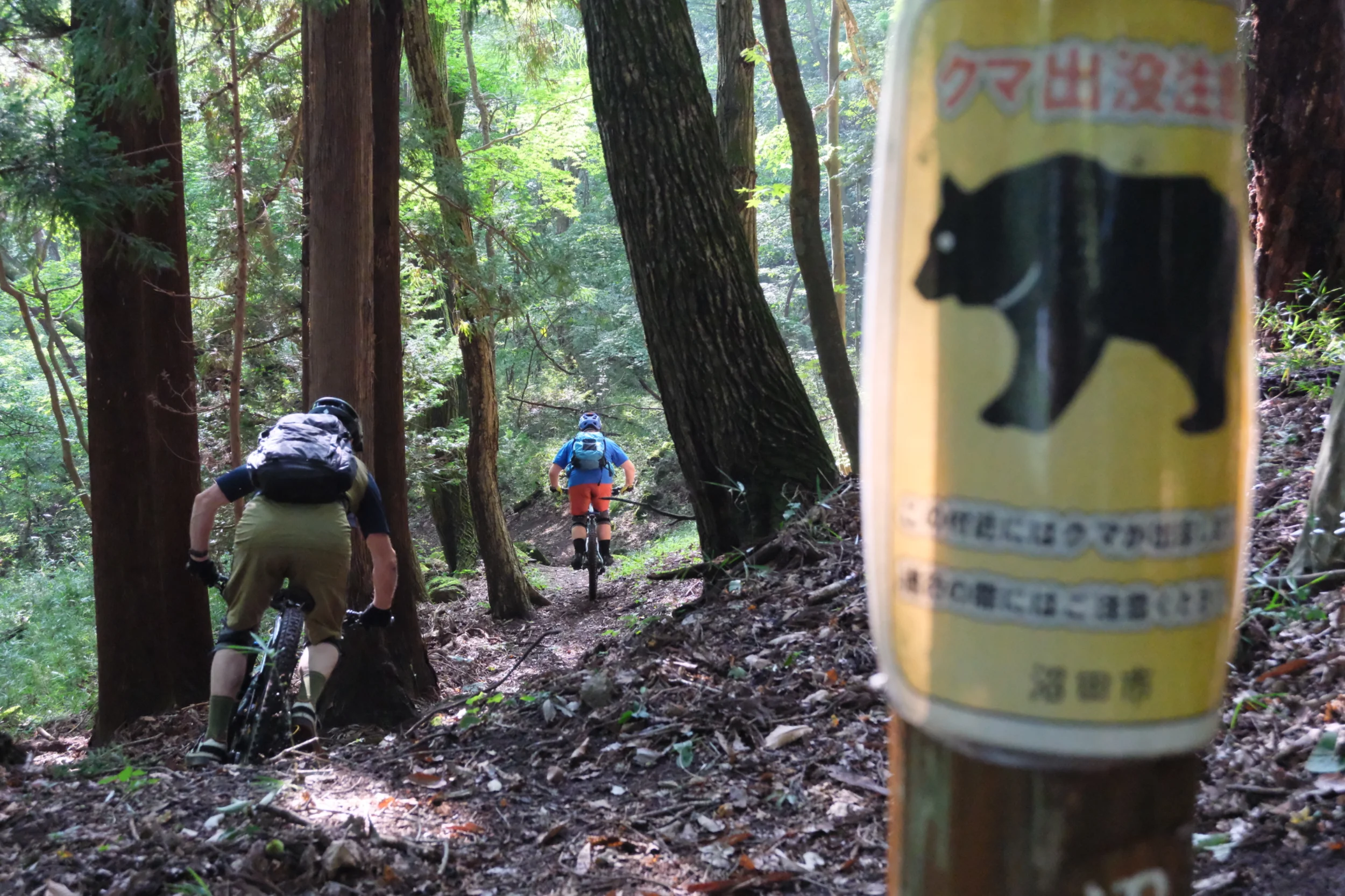 DSCF0774.webp