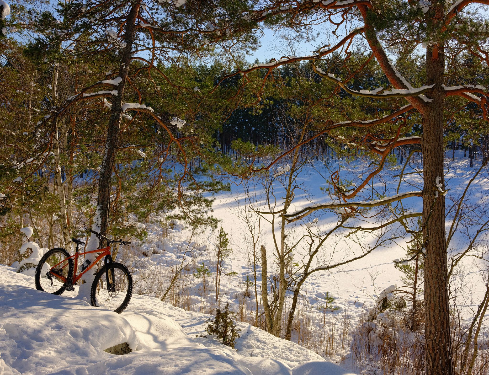 DSCF0930_fb.jpg