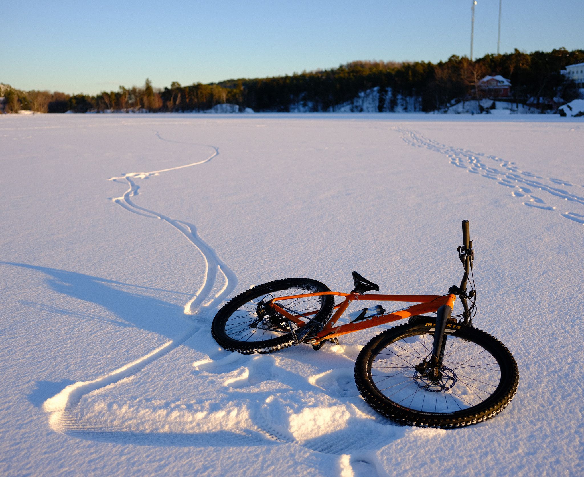 DSCF0936_fb.jpg