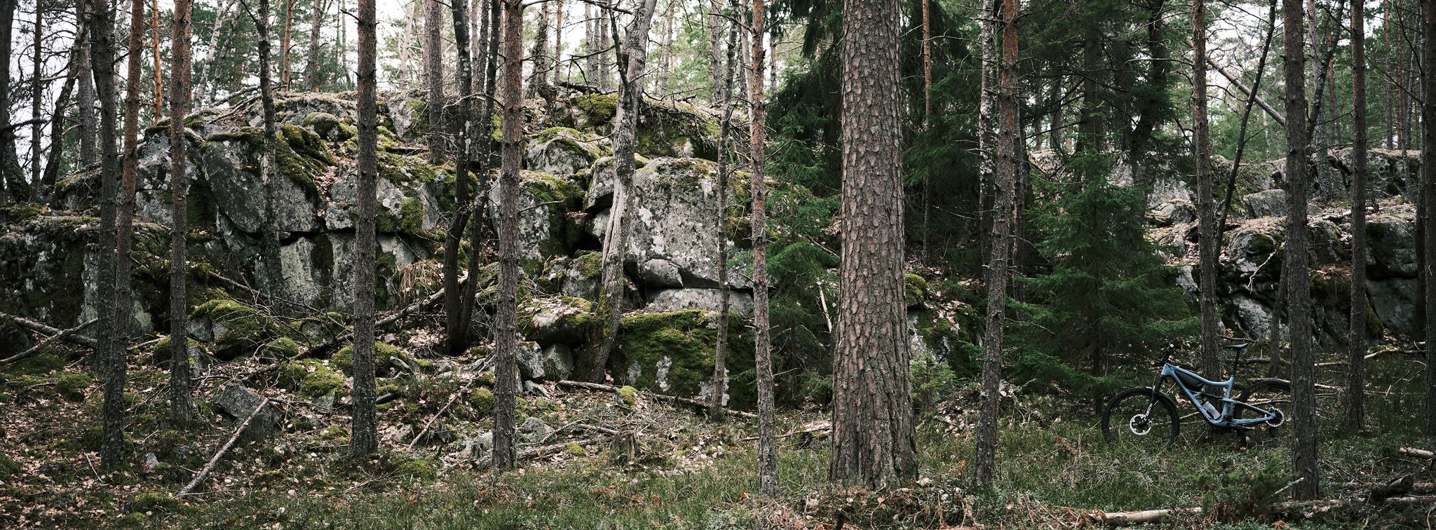 DSCF1138_fb.jpg