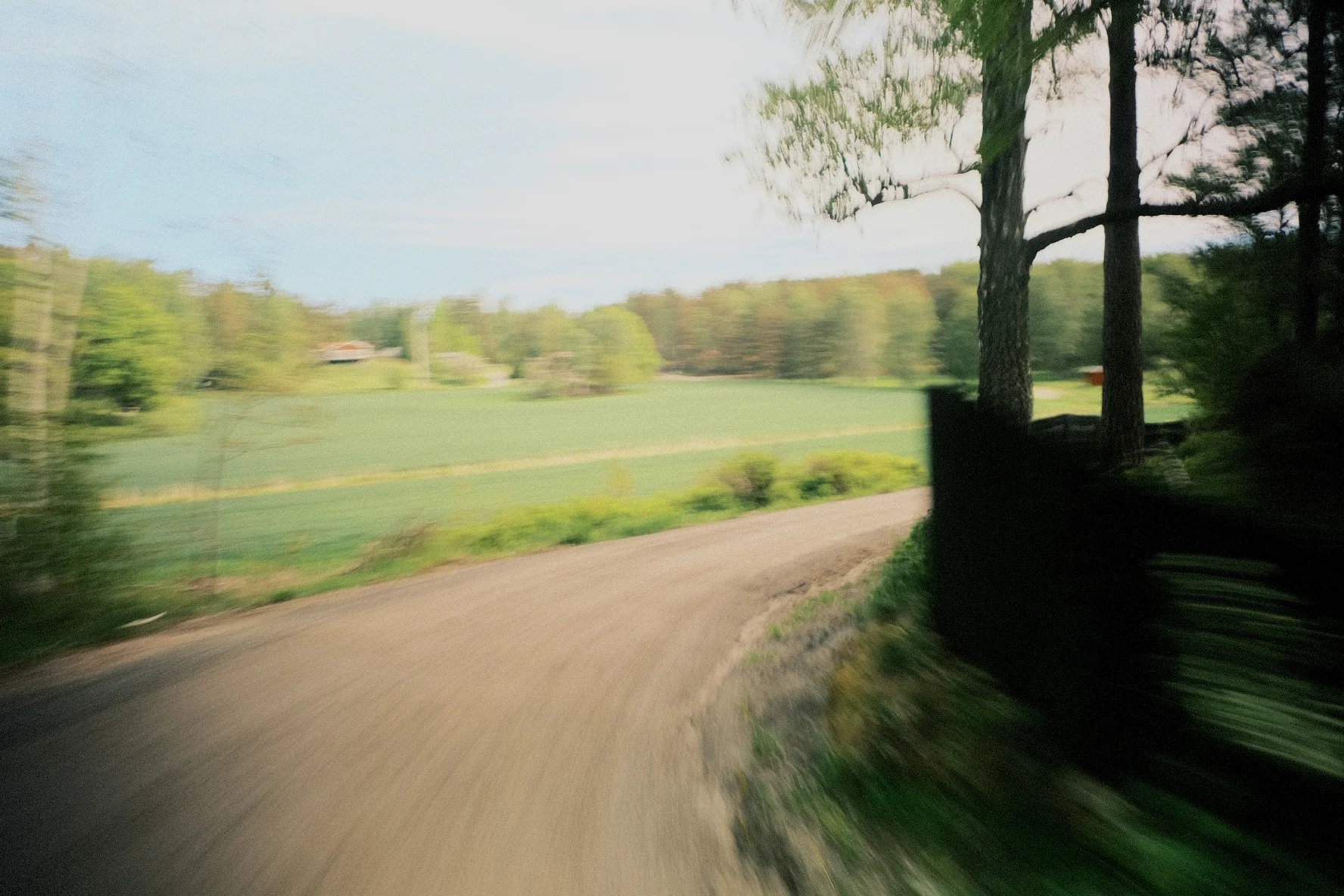 DSCF1341.webp