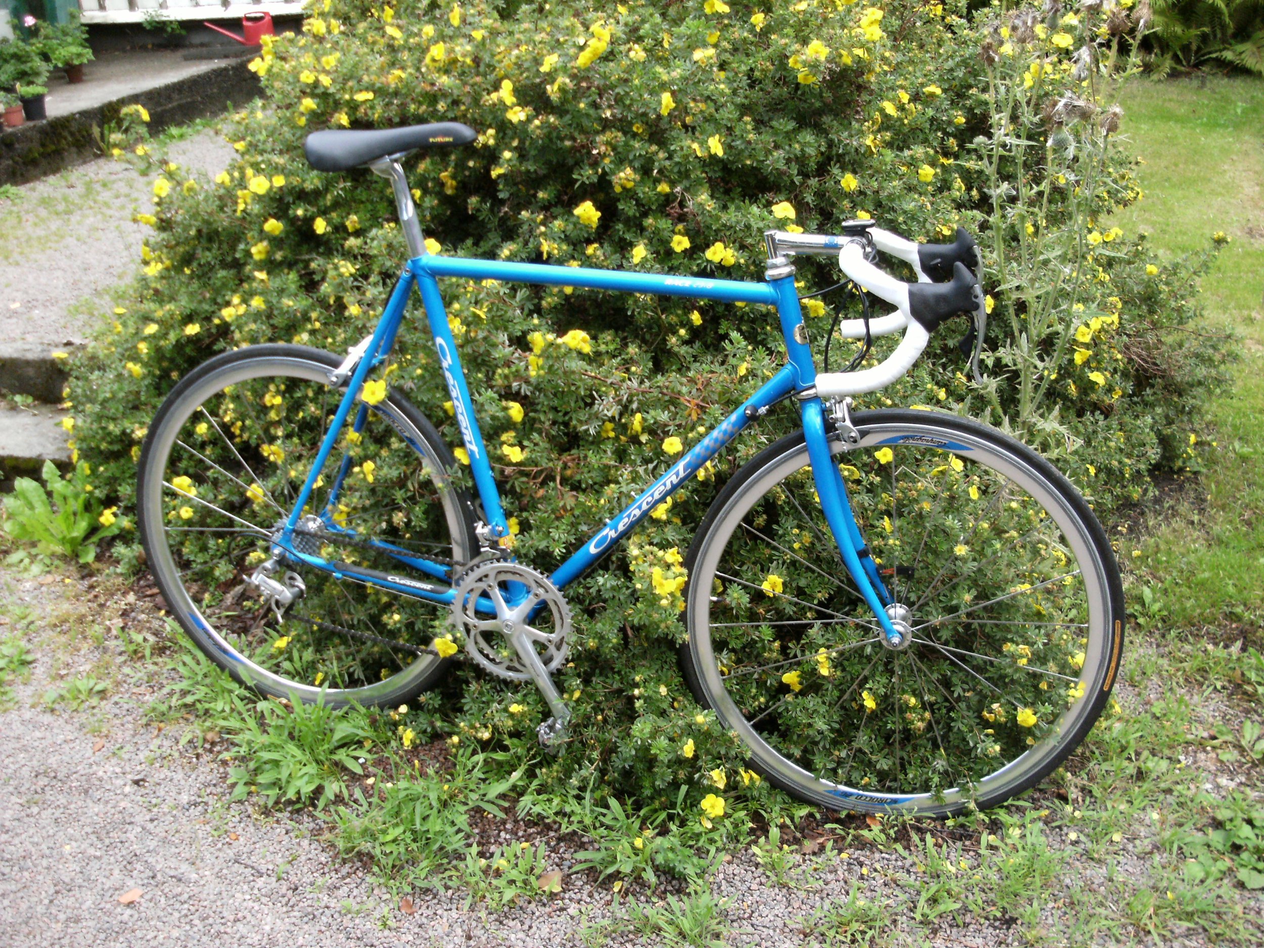 DSCF1421.JPG