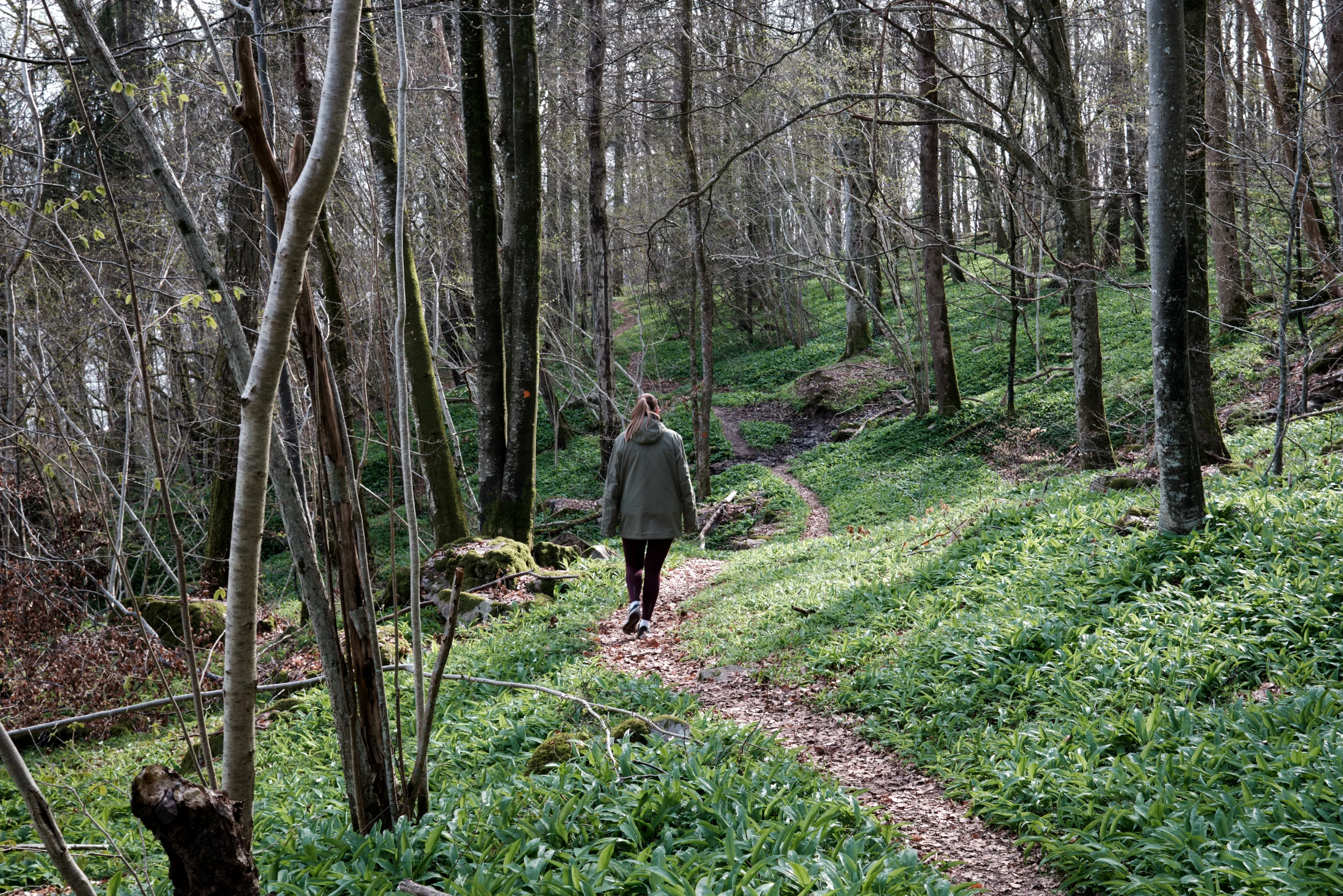 DSCF1485.webp