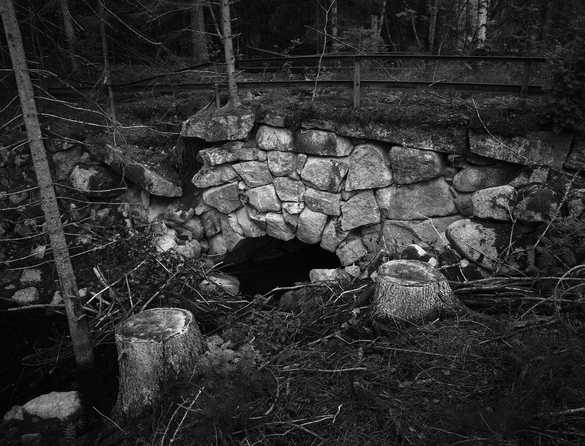 DSCF2492_2048.jpg
