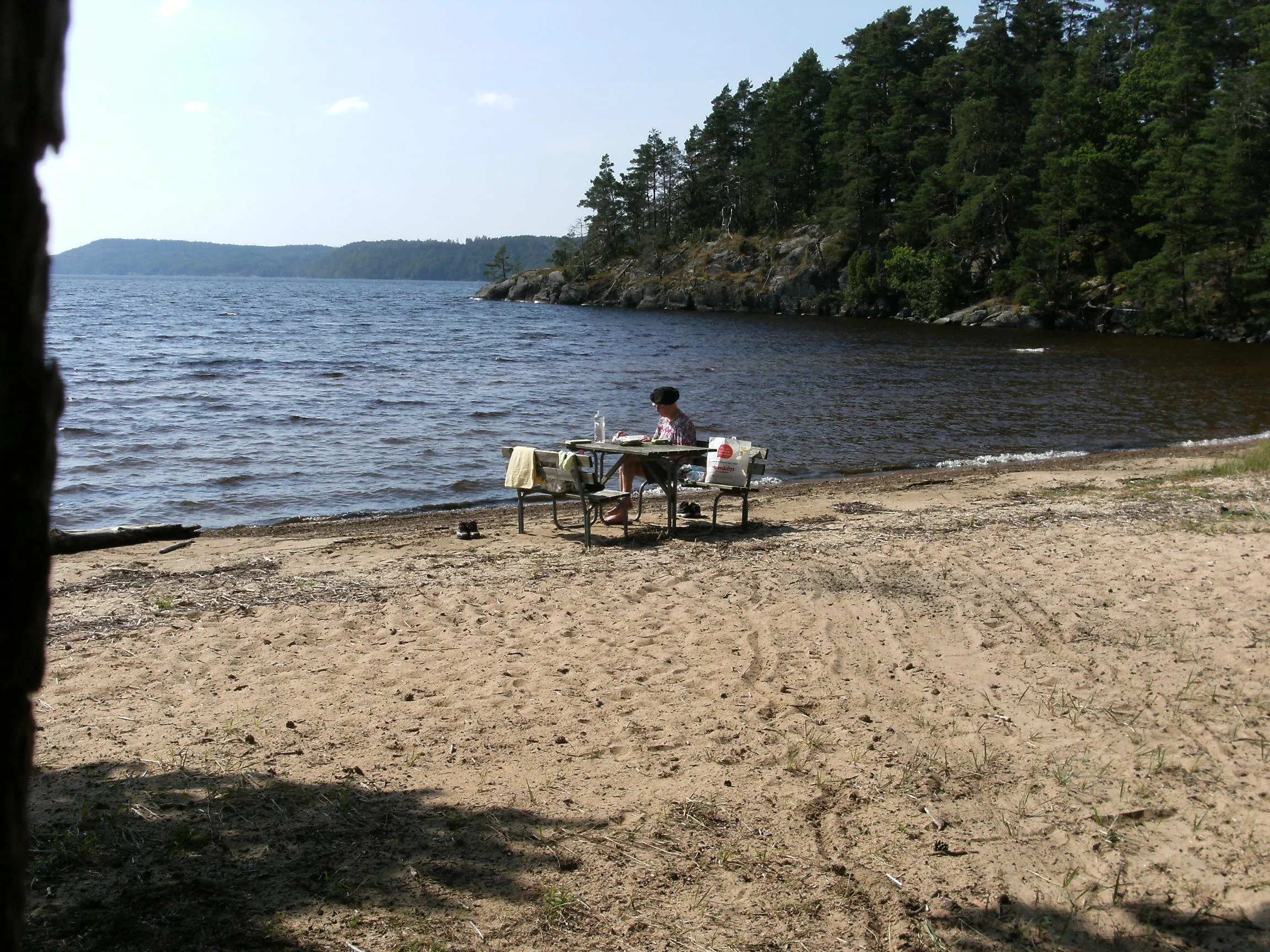 DSCF2634 - kopia.webp